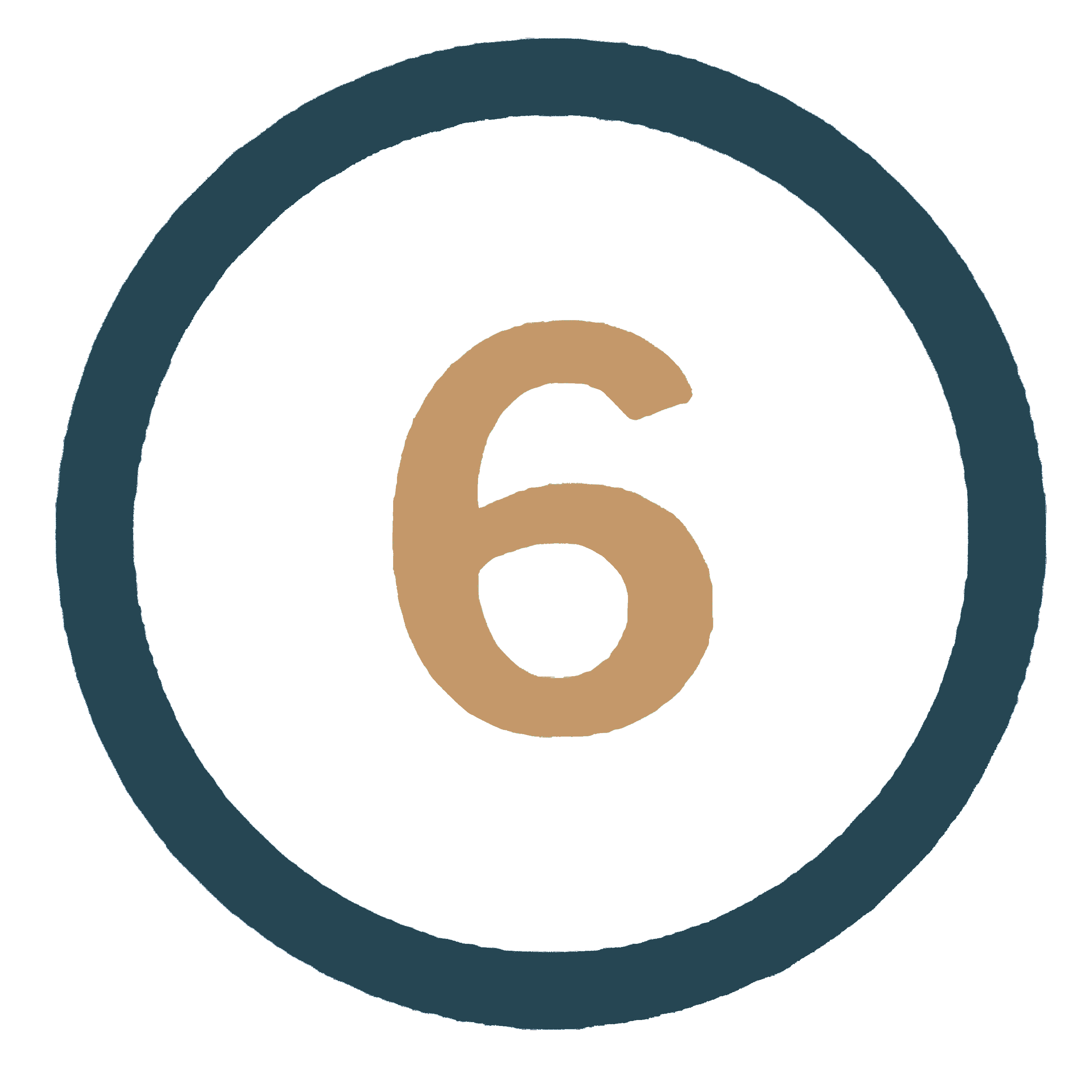 number 6
